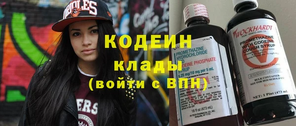 дмт Медвежьегорск
