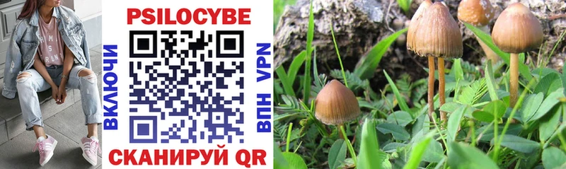 blacksprut ONION  Певек  Галлюциногенные грибы Magic Shrooms  наркота 